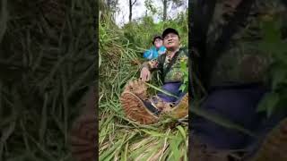 Macan Tutul Tertangkap Kamera Trap Di Ijen