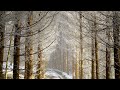 Op1220_ 3 E♭