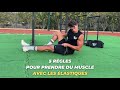 5 rgles pour prendre du muscle avec les lastiques 