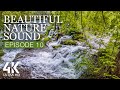 8 HOURS Bird Songs + River & Waterfall Sounds for Sleep - Beautiful Nature Sound - Episode 10