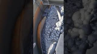 20230111 First lead rougher concentrate