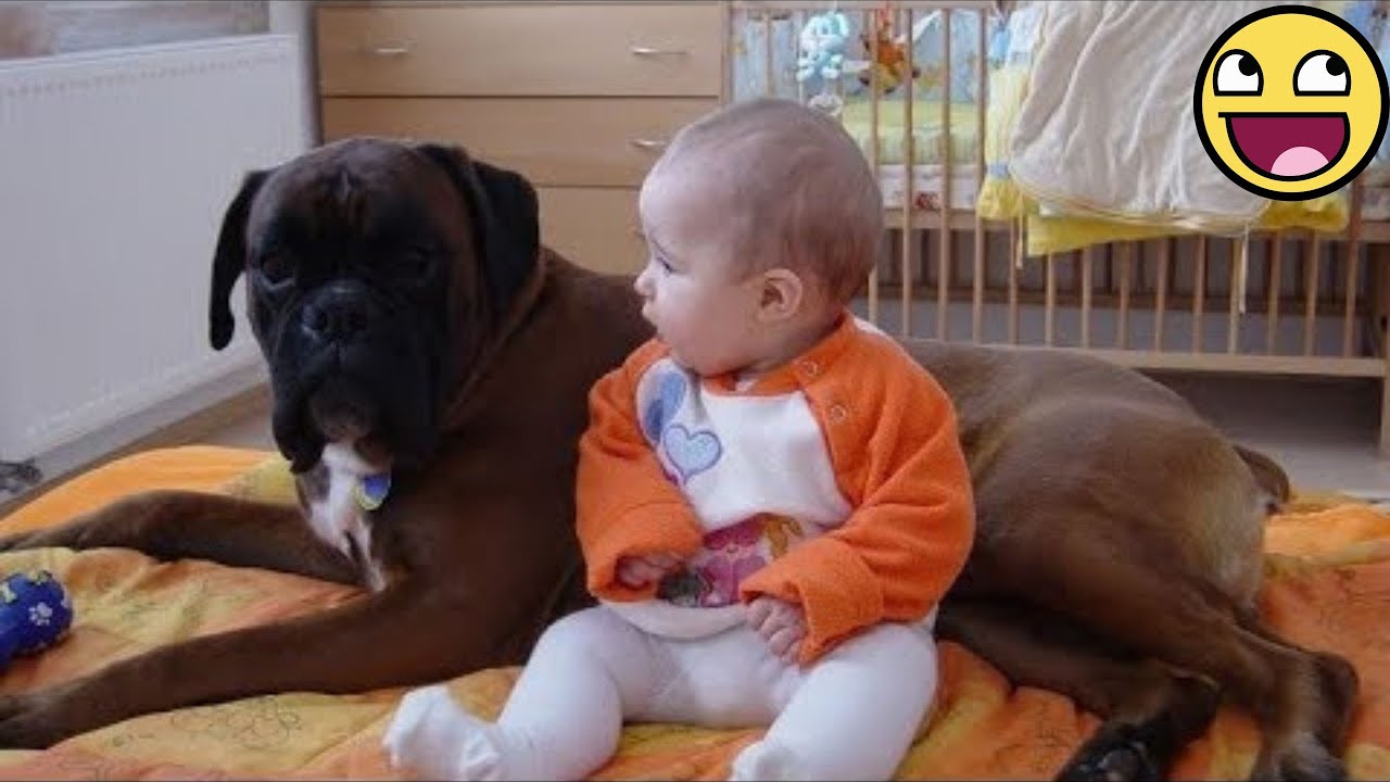 20 Minutes Of Babies And Dogs Being The Cutest Besties Ever! 🐶👶