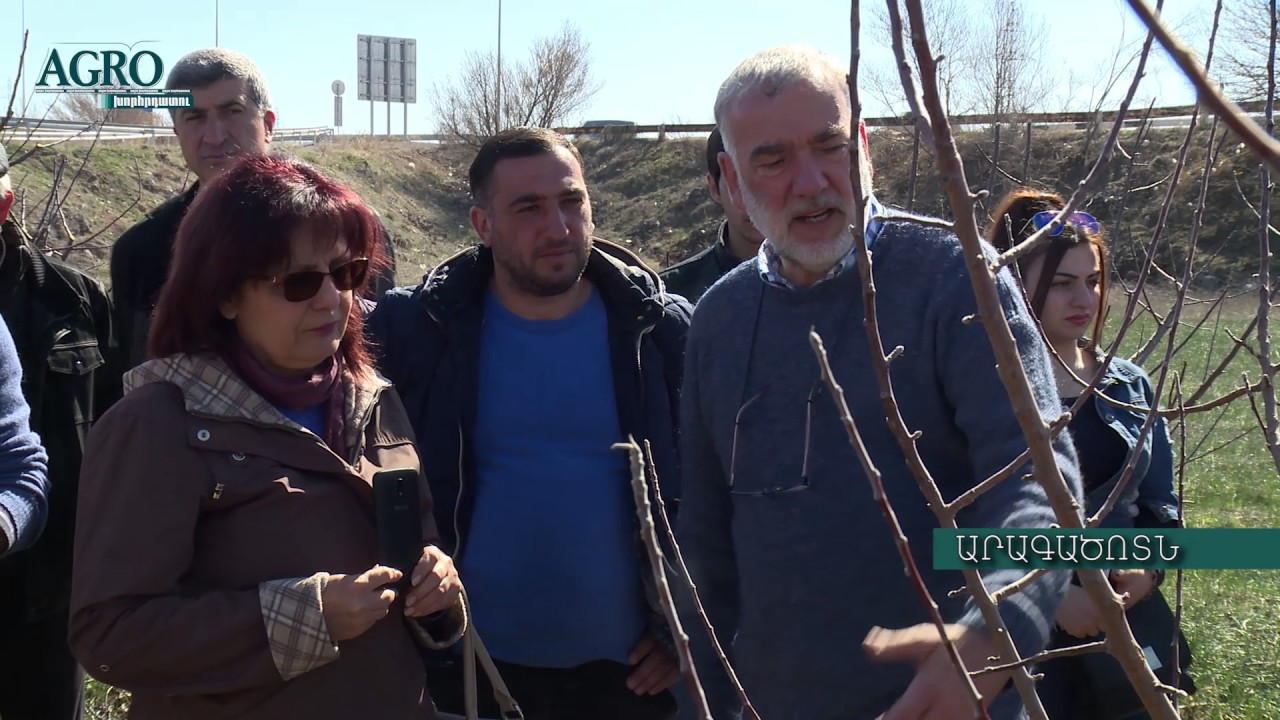 AGRO -  խորհրդատու 28 Պտղատու ծառերի էտի և ձևավորման առանձնահատկությունները