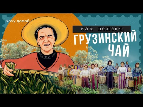 Видео: Грузинская бабушка делает чай лучше китайцев уже 60 лет