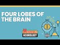 Four Lobes of the Brain Mnemonics (Memorable Neurology Lecture 1)