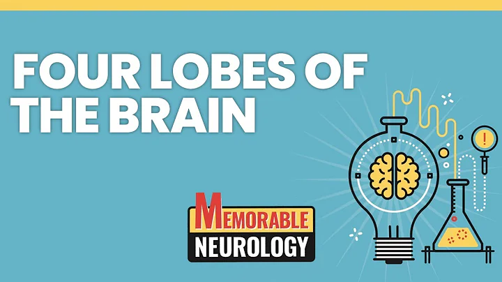 Four Lobes of the Brain Mnemonics (Memorable Neurology Lecture 1) - DayDayNews