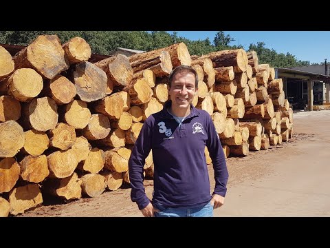 Entrevistamos a Carlos Navarro, director general de AE Forestal
