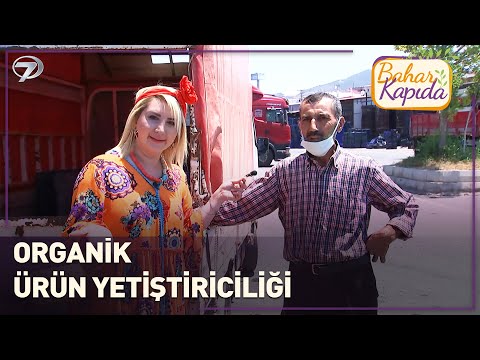 Benim Sebzelerimde Hormon Yoktur | Bahar Kapıda | Antalya
