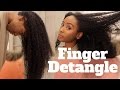 Healthy Hair Essentials | Finger Detangling | Walkthrough w/ PictureMeNatural