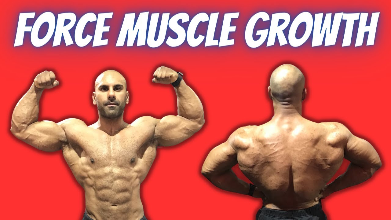 HOW TO BUILD MUSCLE FAST THE BIG 10 YouTube