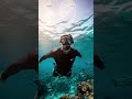 تحت الماء عالم تاني! غطست في أخطر مكان 😱 | حول العالم