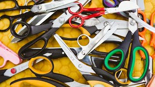 How to choose the right scissors? - types of scissors discussed by a STRIMA specialist