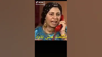 اغنية بكلمك مش بترد بالشكل البلدى 