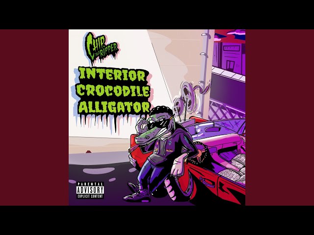 Interior Crocodile Alligator By