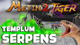 Metin2 Tigerghost - Siamo arrivati nel TEMPLUM SERPENS