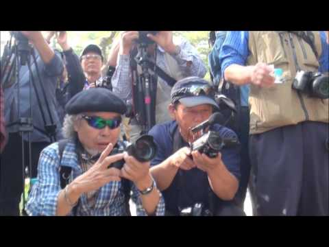 김미란 사진전 ‘유혹의 땅, 인도’ 주한인도대사관 초대전 남이섬 관광휴양지(산딸나무길) 연재1