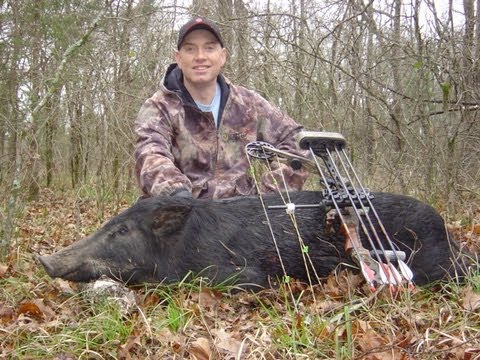 Spot and Stalk Hog Bow hunt in Texas with 2 arrow impacts - YouTube