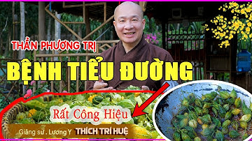 Trị TIỂU ĐƯỜNG Hiệu Quả với bài thuốc dễ làm - Món ăn thuốc giúp Hạ Men Gan, Lọc Máu/ Chùa Pháp Tạng