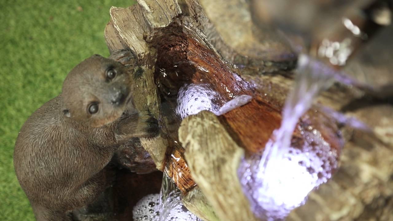 45132L Otter Pools YouTube