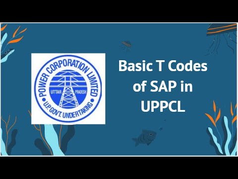 Basic T-Codes of SAP in UPPCL. Beginner's Guide.