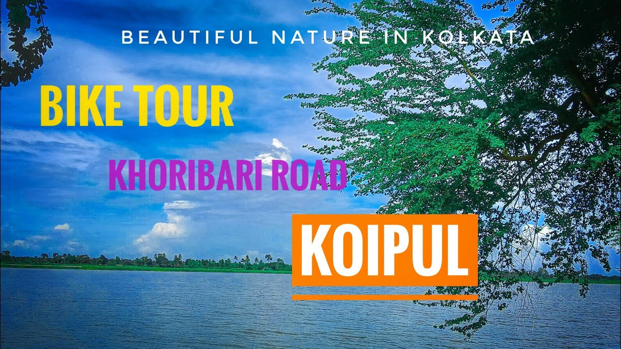 khoribari status | beautiful nature status | koipul madhyamgram |koipul kharibari |Khoribari Road