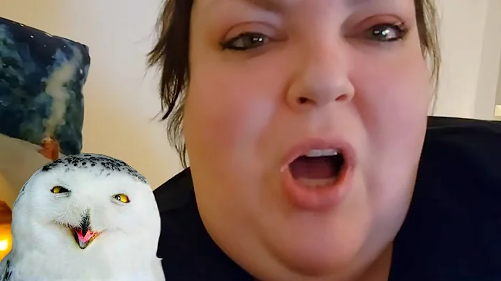 Unnamed Cat is in HEAT - Beezer Show Self-Medicates to DEAL