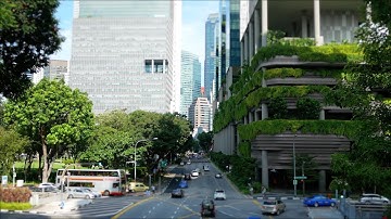 Big Questions, Big Ideas: The Sustainable City with Steven Cohen