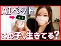 【コレは凄い...】話題のAIペットをお迎えしたら想像以上にハマってしまった。。【EMOPET Aibi /アイビ 】