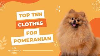 Top ten clothes for Pomeranian | The 10 Best Clothes for Your Furry Friend | Pet Knowledge Zone #dog by Pet Knowledge Zone 9 views 1 year ago 3 minutes, 45 seconds