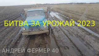 видео: УБОРОЧНАЯ 2023, ПОЧЕМУ НЕ СМОГЛИ УБРАТЬ УРОЖАЙ картинка: УБОРОЧНАЯ 2023, ПОЧЕМУ НЕ СМОГЛИ УБРАТЬ УРОЖАЙ