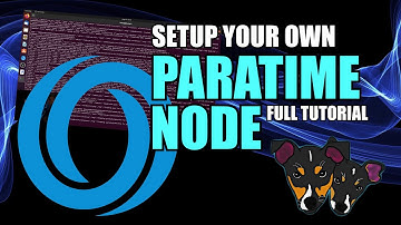 Oasis Network: Paratime Node Setup Guide