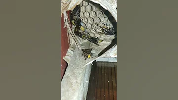 Гнездо улей шершней. Пчеловодство.