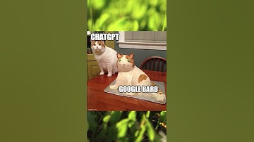 Diference Chatgpt and GoogleBard