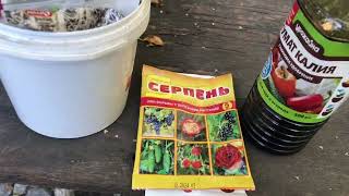 видео: Дачные обработки и подкормки картинка: Дачные обработки и подкормки