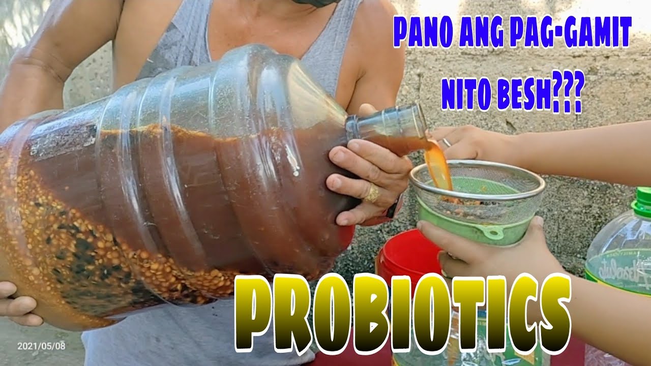 PANO GAGAMITIN ANG PROBIOTIC NATIN...