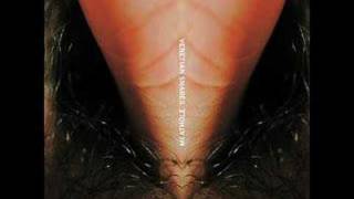 venetian snares - aaperture