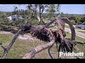 SWFL Eagles ~ E20 RETURNS WITH A BANG!! ~ And Why MODS ALWAYS Say Wait a Few Days Before Conclusions