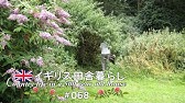 6 田舎暮らし キッチンガーデンの修理 お庭のコテージ初公開 イギリス アンティークな暮らし Vlog Youtube 6 田舎暮らし キッチンガーデンの修理 お庭のコテージ初公開 イギリス アンティークな暮らし Vlog Youtube