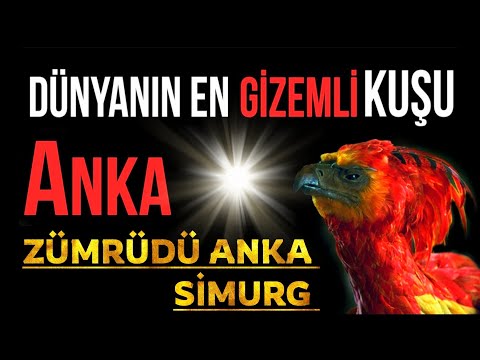 ANKA KUŞU - ZÜMRÜDÜ ANKA, SİMURG EFANESİ GERÇEKMİ ❓️ ( DÜNYANIN EN GİZEMLİ HAYVANI ‼️)