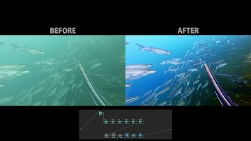 GoPro Hero 7 Underwater Color Correction & Grading