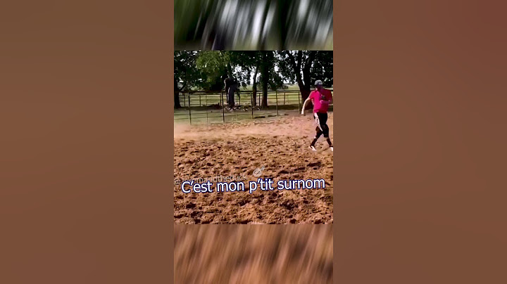 Il s'est pris un arbre