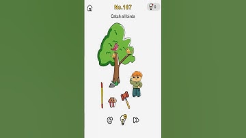 Brain Out Level 167 Catch all birds