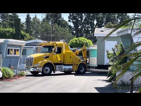 HOLTZMAN'S HOME DELIVERY,PART 1 9-25-23