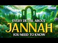 Every detail about jannah you need to know