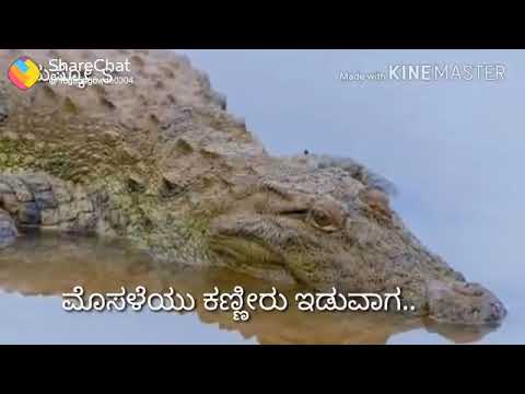 Yarige Beku E Loka  Sipayi  Ravichandran Hit Songs  Kannada Whatsapp  Status  Video