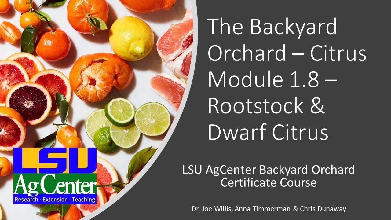 Citrus - Module 1.8 - Rootstock & Dwarf Citrus
