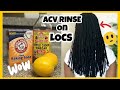 How To Do An ACV Rinse (Apple Cider Vinegar) on Locs | Natural Hair Care