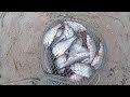 БЕШЕНАЯ КРУПНАЯ  ТАРАНЬ КЛЕВАЛА КАК ДУРНАЯ🐟!! ВОТ ЭТО РЫБАЛКА