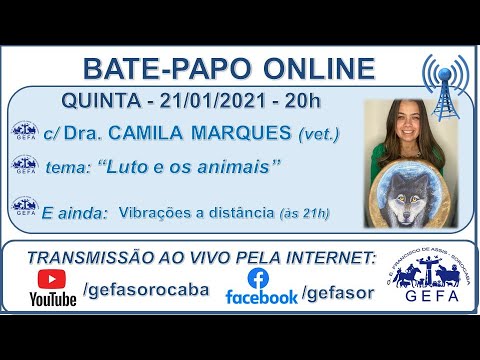 Assista: Bate-papo online - c/ CAMILA MARQUES (21/01/2021)