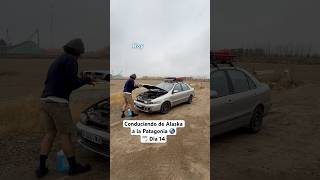 Día 14. Conduciendo De Alaska A La Patagonia . Alberta, Canadá